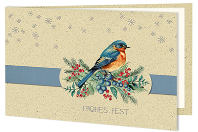 Weihnachtskarte mit Vogel 4320